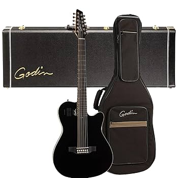 Amazon.com: Godin A12 12-String – Black HG (048588), Godin